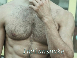 Indiansnake