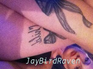 JayBirdRaven