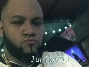 Junito313