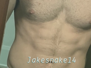 Jakesnake14