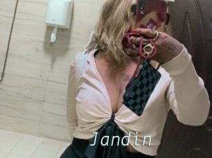 Jandin