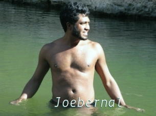 Joebernal