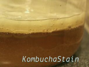 KombuchaStain