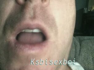 Ksbisexboi