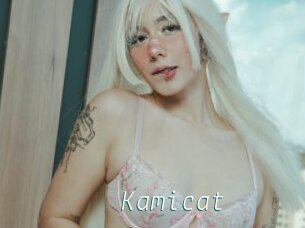 Kamicat