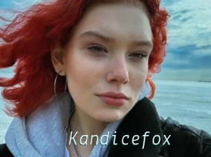 Kandicefox