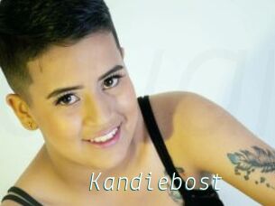 Kandiebost