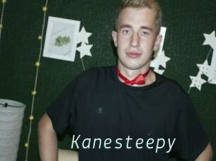 Kanesteepy