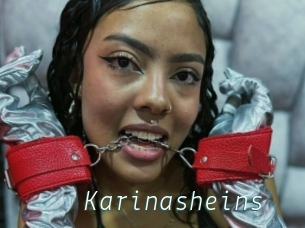 Karinasheins