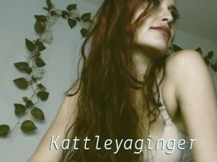 Kattleyaginger