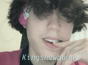 Kingsnowbunny