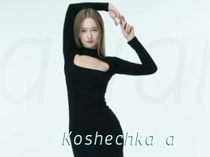 Koshechka_a