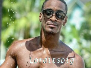 Lorditsbig