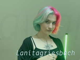 Lanitagriesbach