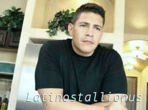 Latinostallionus
