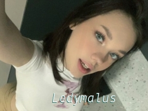 Ledymalus