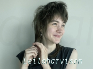 Leilaharvison