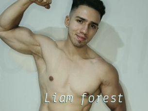Liam_forest
