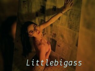 Littlebigass