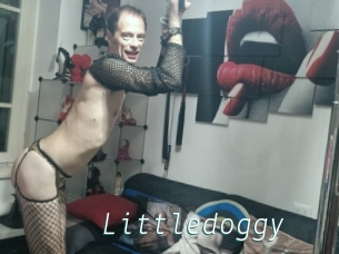 Littledoggy