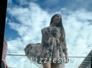 Lizziesnow