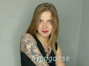 Lynngorse