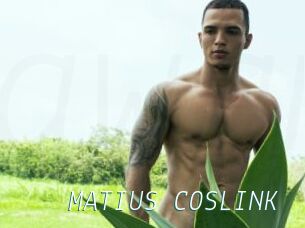 MATIUS_COSLINK