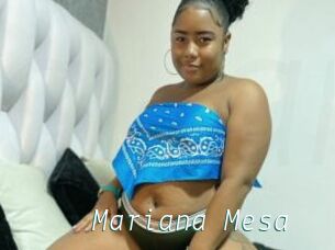 Mariana_Mesa