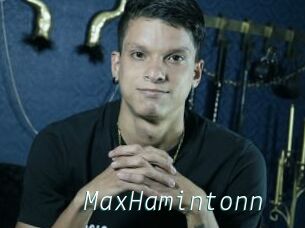 MaxHamintonn