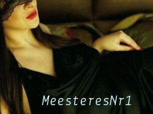 MeesteresNr1