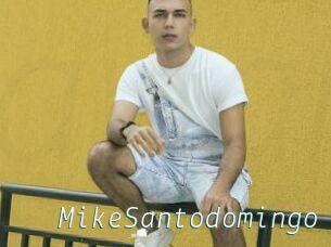 MikeSantodomingo