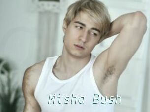 Misha_Bush