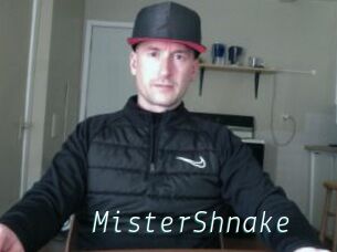 MisterShnake