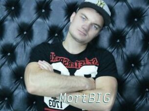 MortBIG