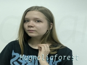 Magnoliaforest