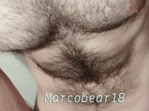 Marcobear18