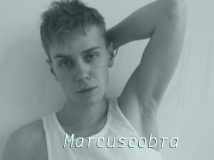 Marcuscobra