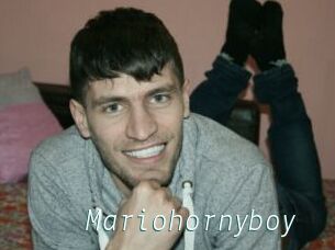 Mariohornyboy