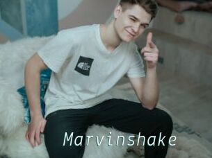 Marvinshake