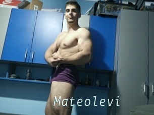 Mateolevi