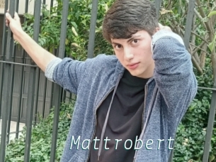 Mattrobert
