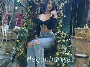 Meganhammer