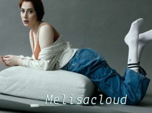Melisacloud