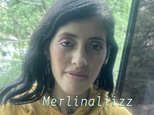 Merlinaliizz