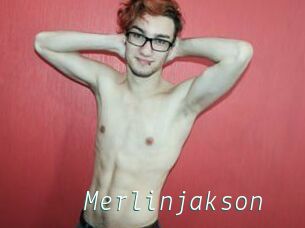 Merlinjakson