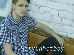 Mervinhotboy