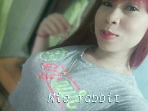 Mia_rabbit