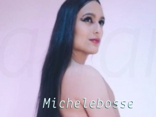 Michelebosse