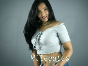 Milegates