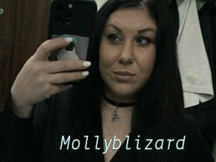Mollyblizard